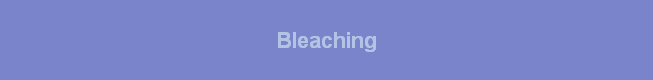 Bleaching